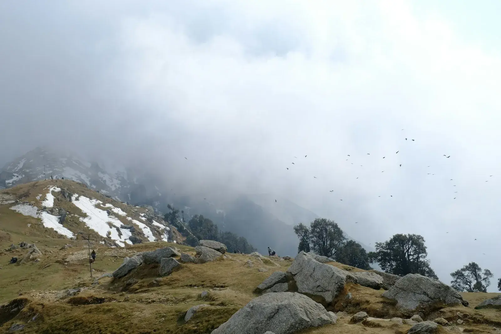 Dharamkot & Bhagsu: chess hub