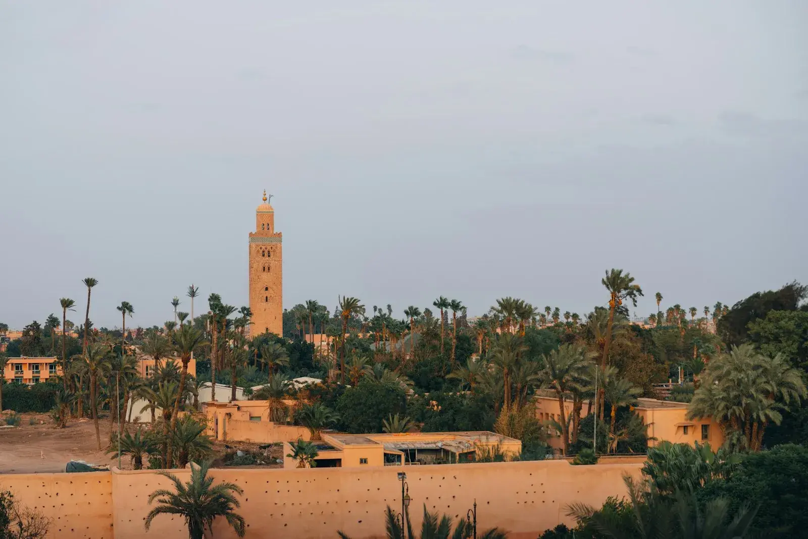 Marrakech: chess lessons backdrop