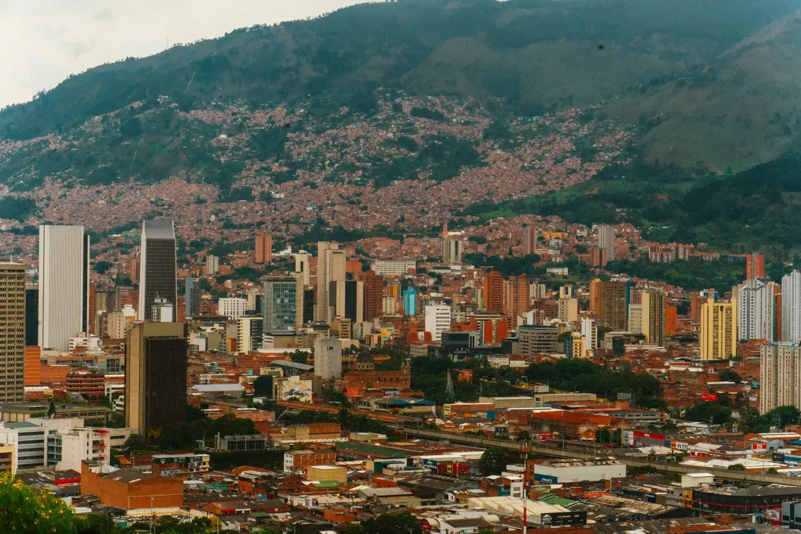 Medellín: chess lessons backdrop
