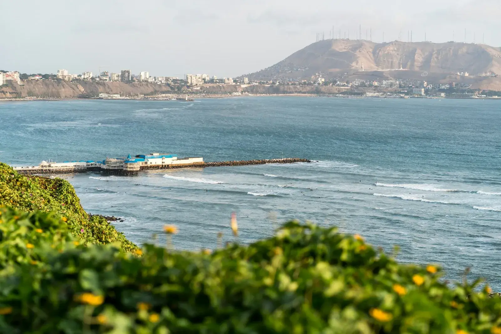 Lima: chess lessons backdrop